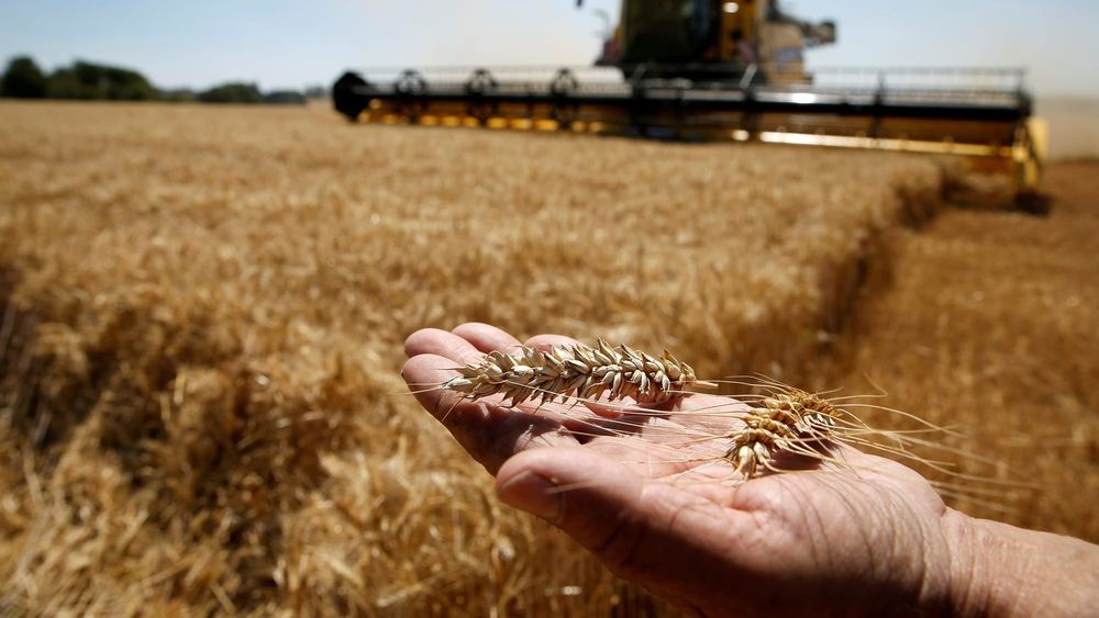 По проекту ФСХ-13 выдано более 3.5 млрд сомов льготных кредитов изображение публикации