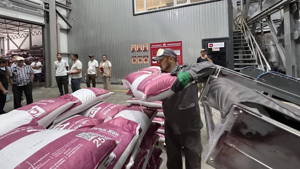 В КР заработал первый завод по производству премиксов и экструзии сои за 400 млн сомов изображение публикации