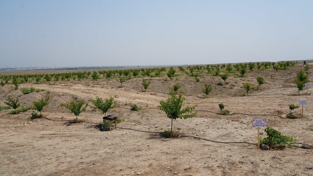 Минсельхоз начал консультации по освоению малопродуктивных земель – куда обращаться изображение публикации