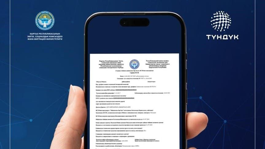 Справки по инвалидности теперь оформляются в Tunduk – Минтруд упростил процедуру изображение публикации