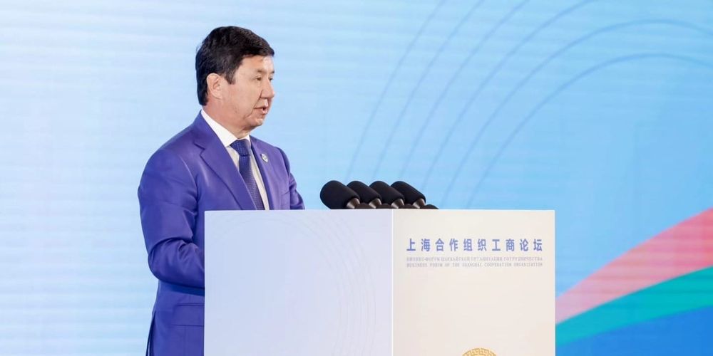 Железная дорога, e-commerce, сельское хозяйство и ГЭС: что Кыргызстан предлагает ШОС изображение публикации