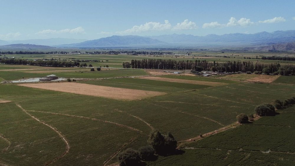 В Кыргызстане предложили дополнить Единый реестр новыми видами госуслуг в сфере землеустройства изображение публикации