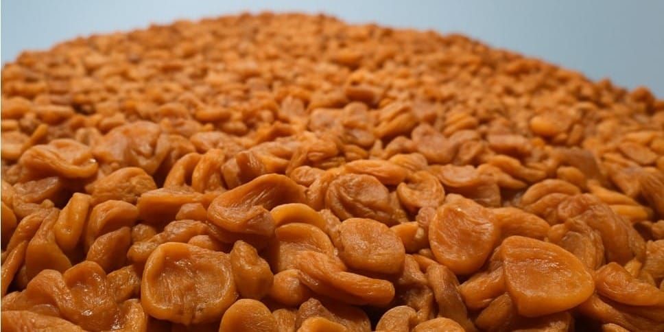 Кыргызстан экспортировал в Китай 23 тонны сушеного абрикоса изображение публикации