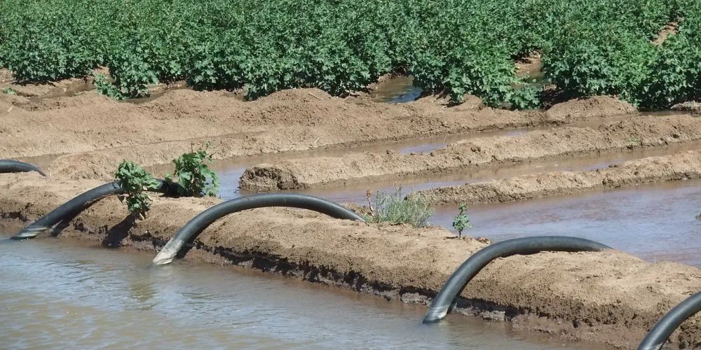 В этом году аграрии получили на 1 млрд м³ больше воды для полива изображение публикации