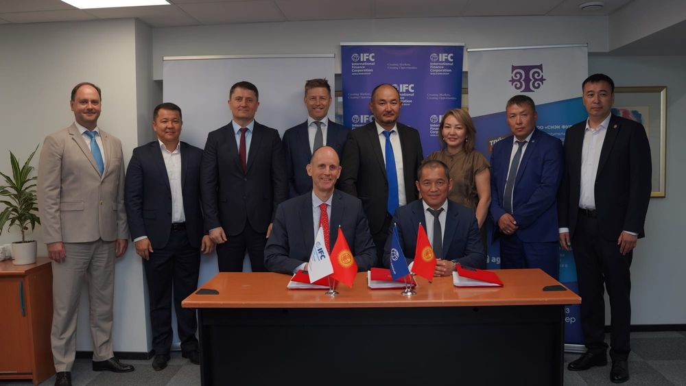 Инкубаторы, комбикорм и рабочие места: «Тойбосс» привлекает $10 млн от IFC изображение публикации