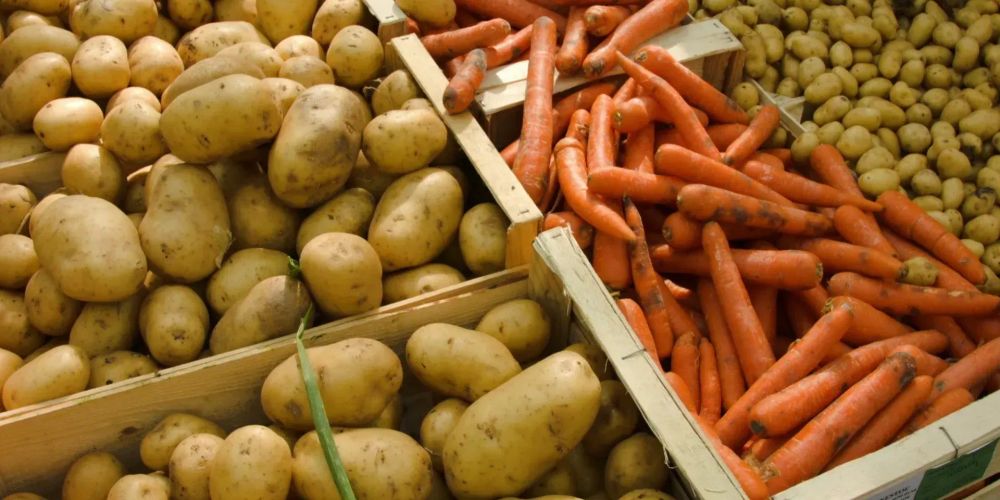 В 2025 году Кыргызстан полностью обеспечит себя картофелем и морковью – Минсельхоз изображение публикации