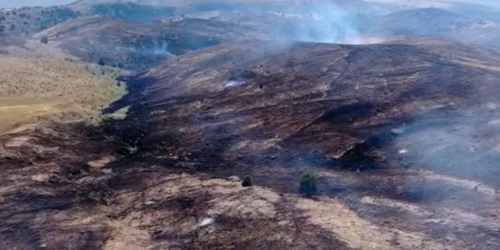 Огонь с территории Казахстана может перекинуться на заповедник в КР изображение публикации