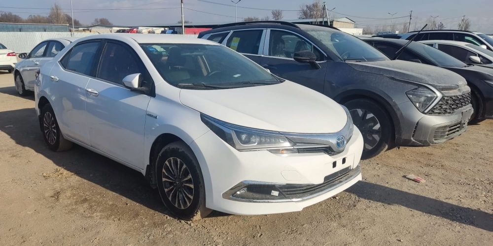 В КР выявили занижение возраста восьми ввозимых автомобилей для снижения таможенных платежей изображение публикации