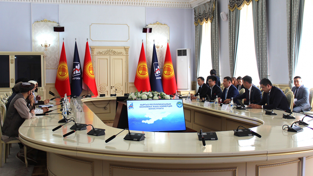 Кыргызстан готов поделиться опытом цифровизации с Афганистаном изображение публикации