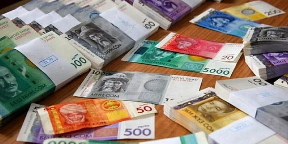 Сборы Налоговой службы с начала года превысили 243 млрд сомов изображение публикации