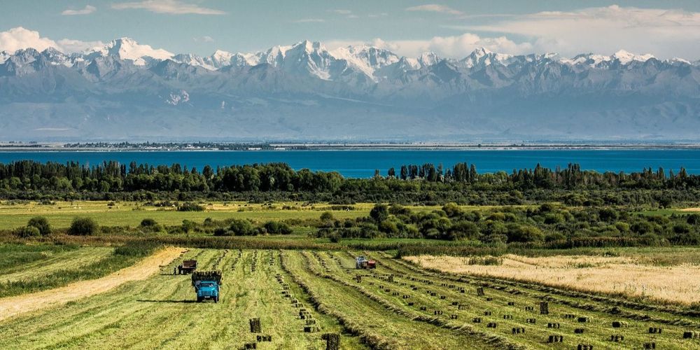 В 2024 году каждый четвертый житель села был занят в сельском хозяйстве — Нацстатком изображение публикации