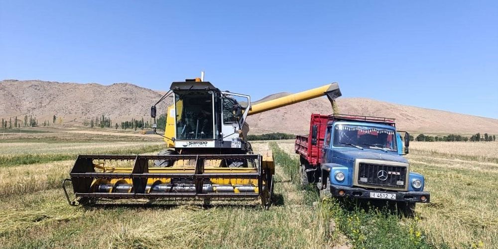 В Тонском районе убрано 30% посевных площадей изображение публикации