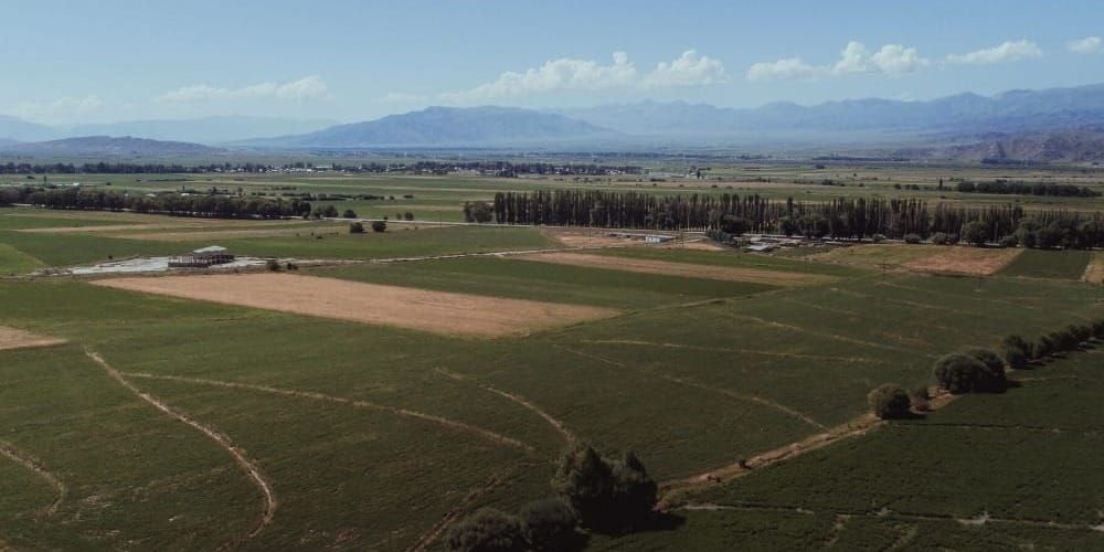В Кара-Суйском районе трансформируют 2.5 га под строительство многоквартирных домов изображение публикации