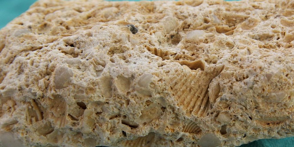 В Кыргызстане ввели временный запрет на вывоз известняка-ракушечника за пределы ЕАЭС изображение публикации