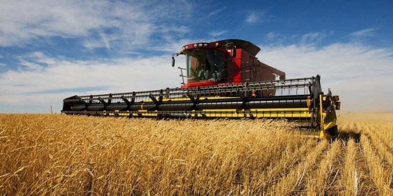 В Кыргызстане собрали почти 1.7 млн тонн зерна — урожайность выросла изображение публикации