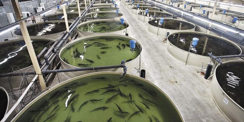 Минсельхоз проведет обучающие семинары для рыболовных предприятий изображение публикации