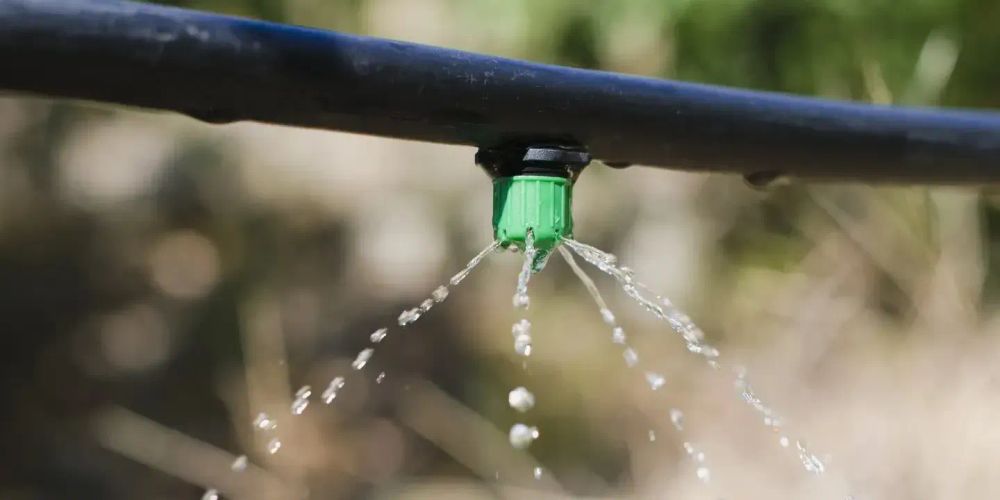 Водосберегающие ирригационные системы исключены из расчета ущерба за порчу земель изображение публикации