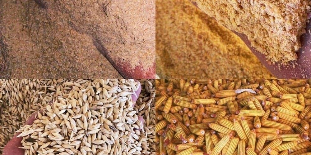 В Кыргызстане убрали 91.2% сельхозкультур – Минсельхоз изображение публикации