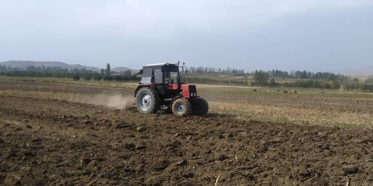 В Аксыйском районе засеяно 1.2 тысячи га озимой пшеницы изображение публикации