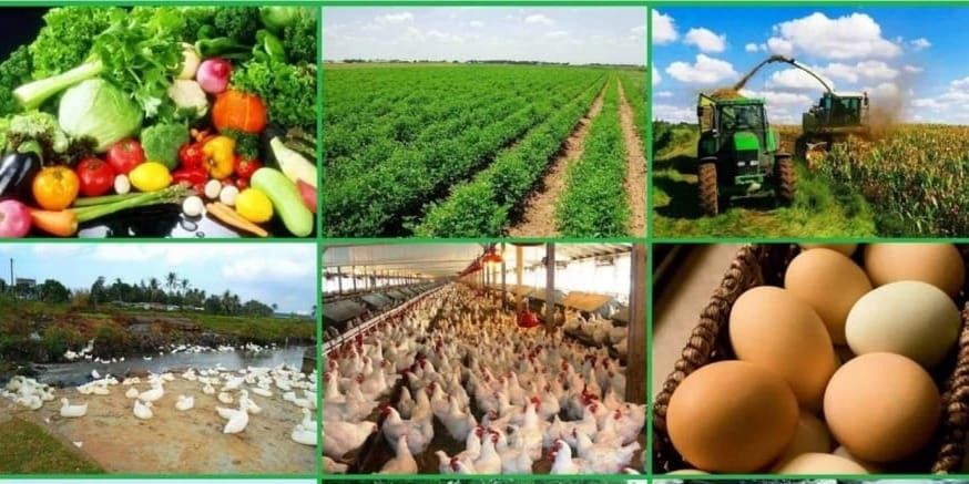 АБР выделил $52.4 млн на развитие устойчивого сельского хозяйства в Кыргызстане изображение публикации