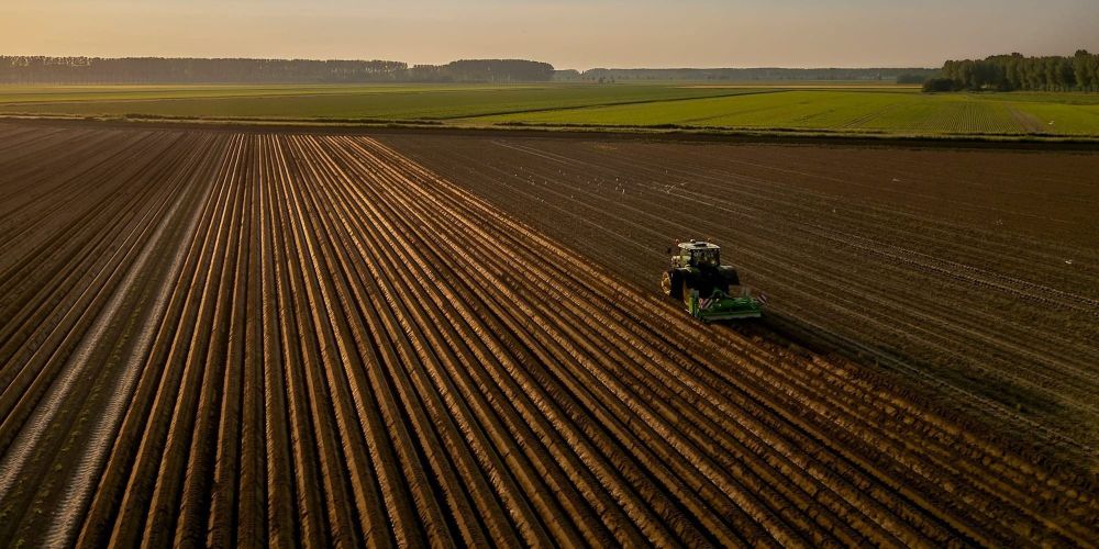 Где провести анализ почвы перед посевом — адреса лабораторий Минсельхоза изображение публикации