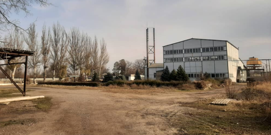 Винзавод «Винивин» с 307 га виноградников выставили на торги за 553.2 млн сомов изображение публикации