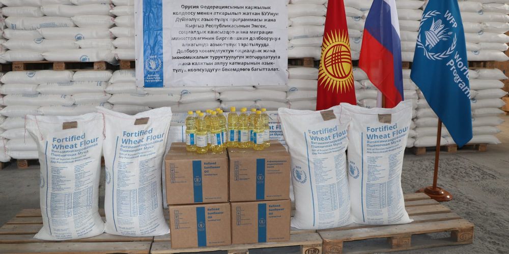 Россия передала КР более 1.1 тысячи тонн продовольствия для уязвимых семей изображение публикации