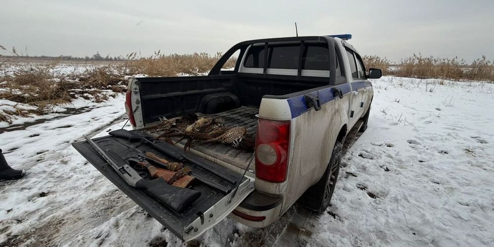 Рейды по охоте в Чуйской области: нарушителей оштрафовали на 250 тысяч сомов изображение публикации