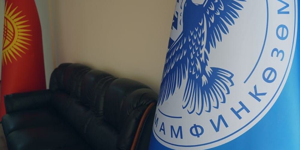 Госфиннадзор зарегистрировал выпуски акций «Элдик Банка», НЭСК и ГИК изображение публикации