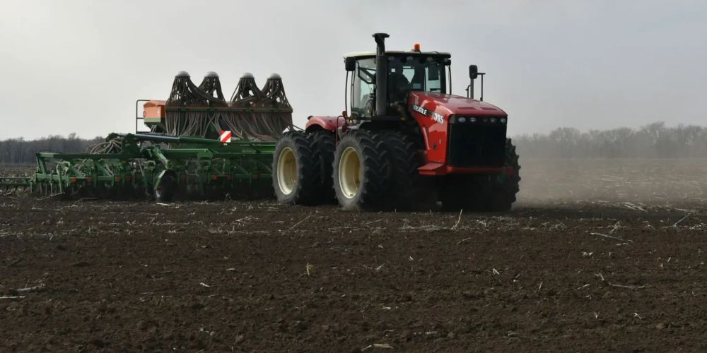 В Кыргызстане завершили сев озимых культур изображение публикации