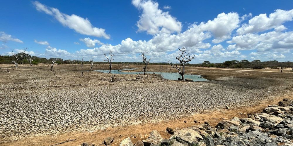 ООН предупреждает: мировой водный кризис продолжает усиливаться изображение публикации