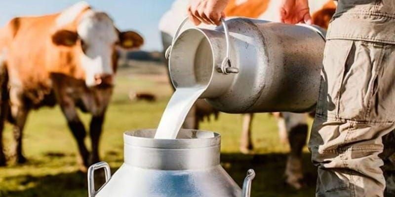 Какова закупочная цена молока в регионах КР, напомнили в Минсельхозе изображение публикации