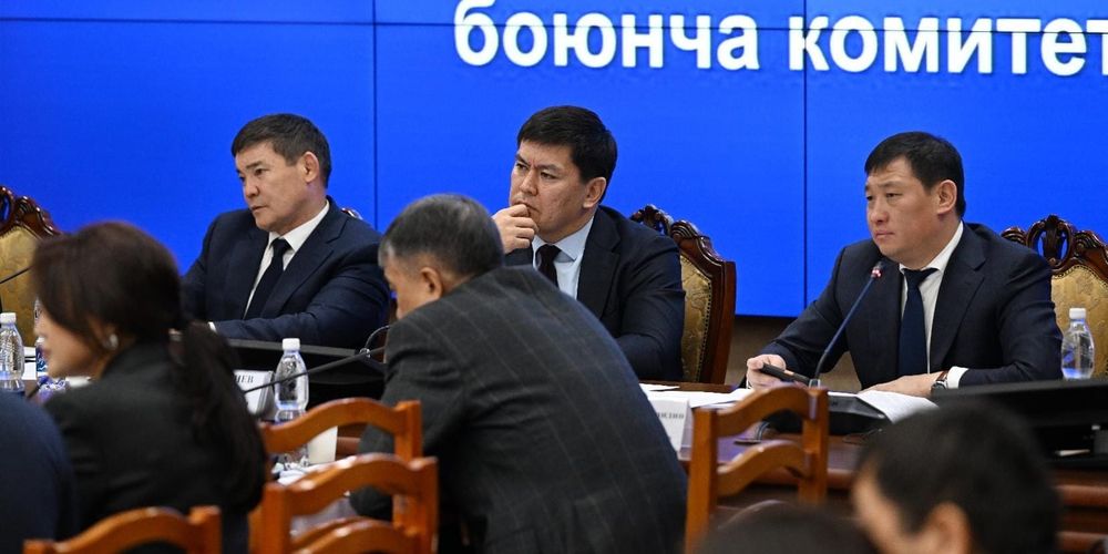 Тарифы на электроэнергию в инвалюте — комитет ЖК одобрил законопроект о ВИЭ изображение публикации