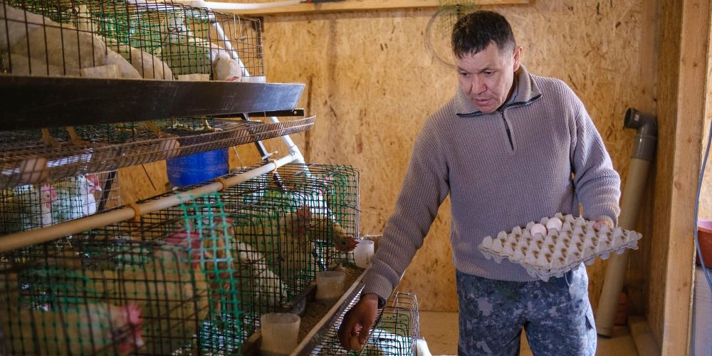 Из сезонного мигранта — в агропредпринимателя: как Кубаныч Тагаев запустил ферму будущего изображение публикации