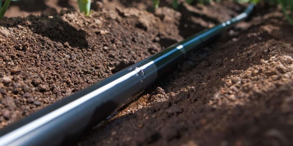 Балыкчинский лесхоз потратит 39 млн сомов на систему капельного орошения изображение публикации