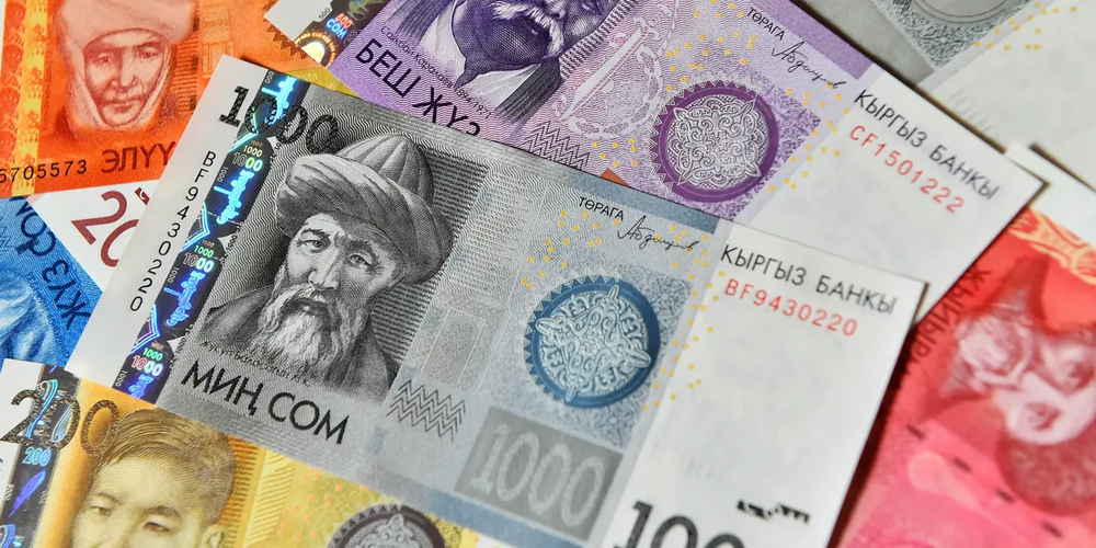 Минфин Кыргызстана привлек 700 млн сомов: ГКВ — под 10.5% и ГКО — под 13% изображение публикации