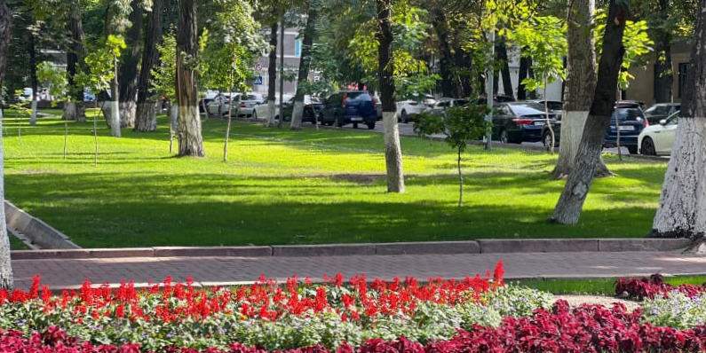 Где в Бишкеке обновят парки и скверы в 2026 году: полный список мэрии изображение публикации