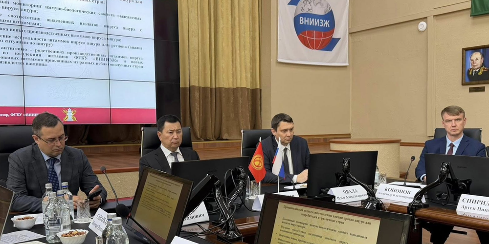 В Кыргызстан поставят 4.5 млн доз вакцин от ящура до конца лета — Минсельхоз изображение публикации