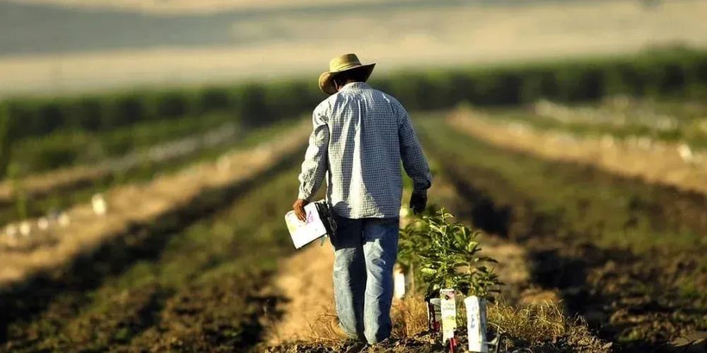 Минсельхоз запустил единый колл-центр для фермеров Кыргызстана изображение публикации