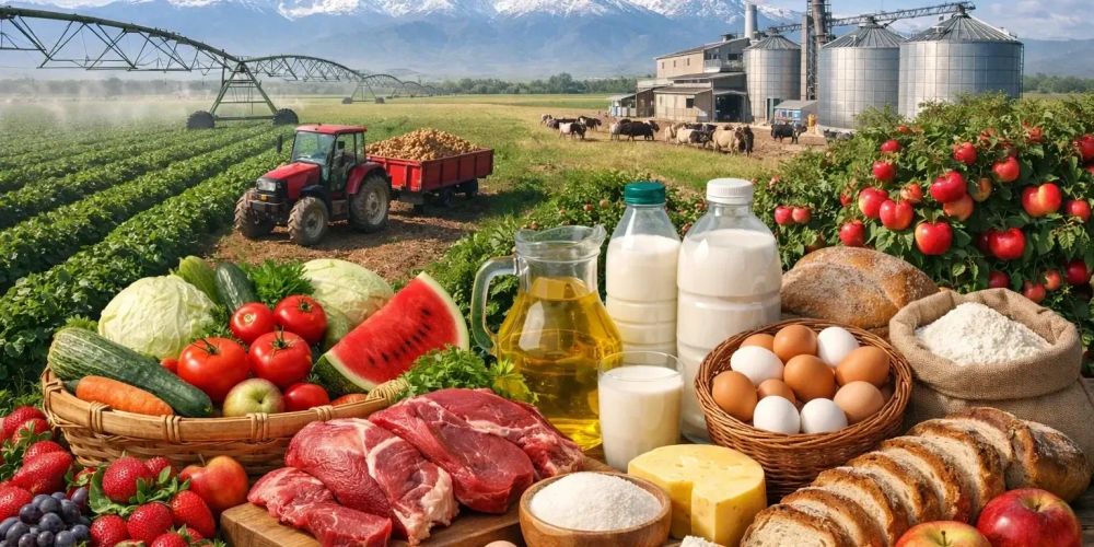 В Кыргызстане объем сельхозпроизводства достиг 47.9 млрд сомов: рост на 2.8% изображение публикации