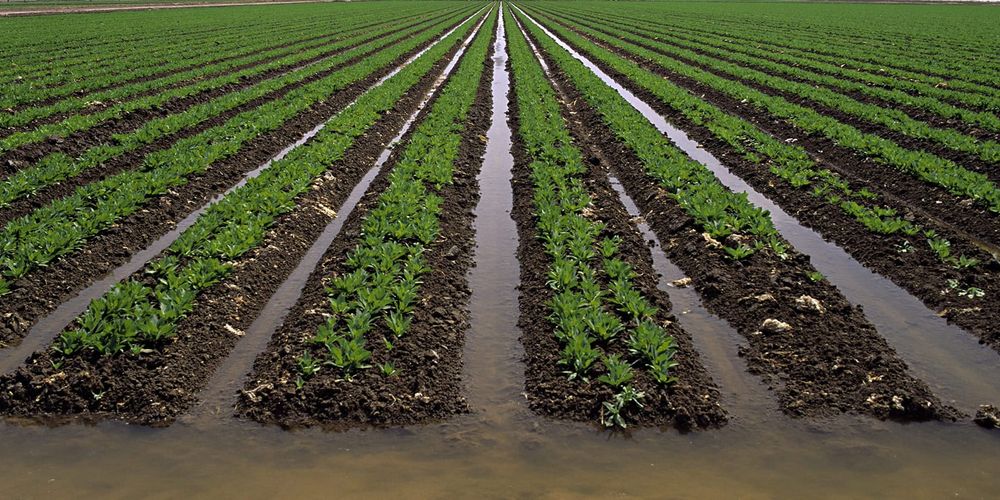 Казахстан в пять раз ускорил внедрение водосбережения изображение публикации