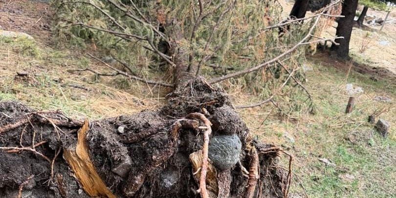 Малая ГЭС в Кемине обойдется инвестору в 16.3 млн сомов штрафа за вред экологии изображение публикации