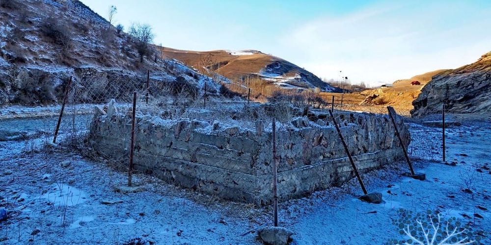 В Кыргызстане запустили цифровую карту очагов сибирской язвы и скотомогильников изображение публикации