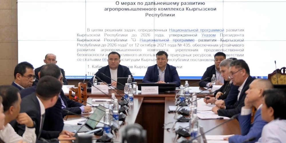 Слабая кооперация фермеров Кыргызстана тормозит экспортные возможности АПК — депутаты изображение публикации