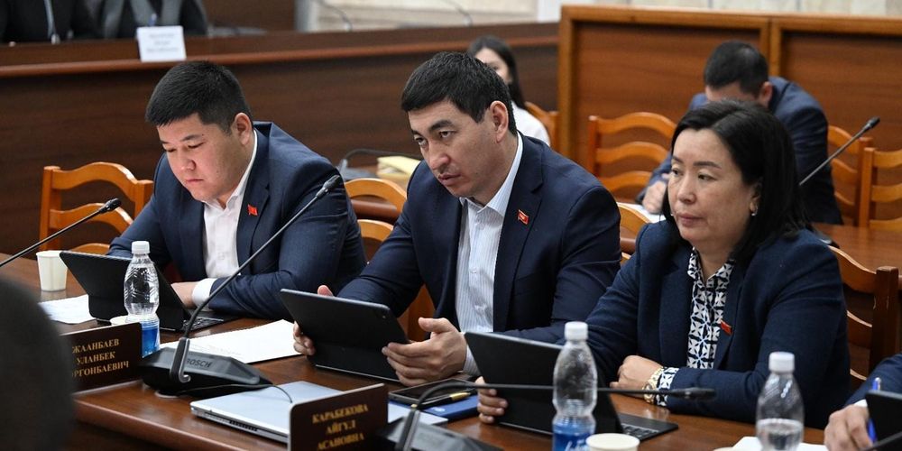 Борьба с картелями и контроль маркетплейсов: Жогорку Кенеш одобрил закон «О конкуренции» изображение публикации