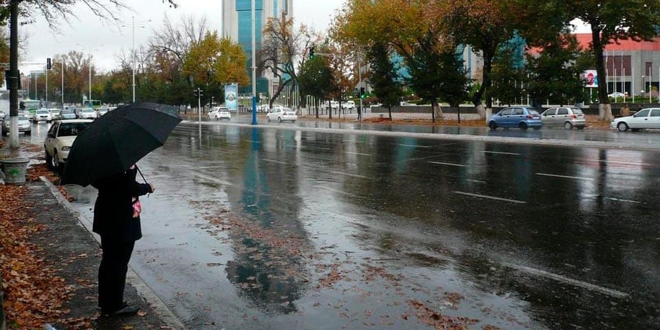 Узбекистан внедрит технологии управления осадками для борьбы со смогом и засухой изображение публикации