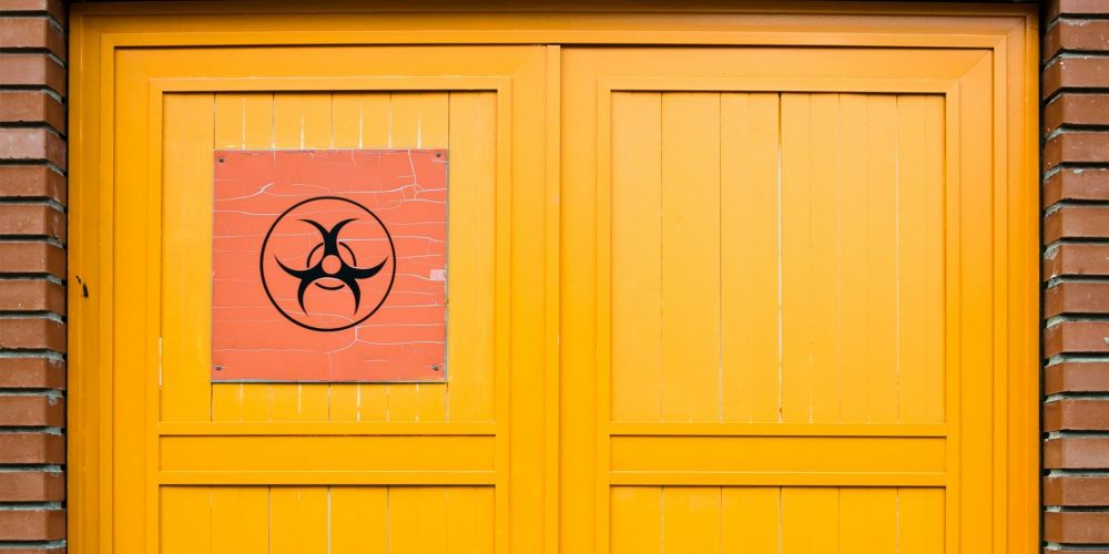 Кыргызстан готовит систему борьбы с биоугрозами: законопроект изображение публикации