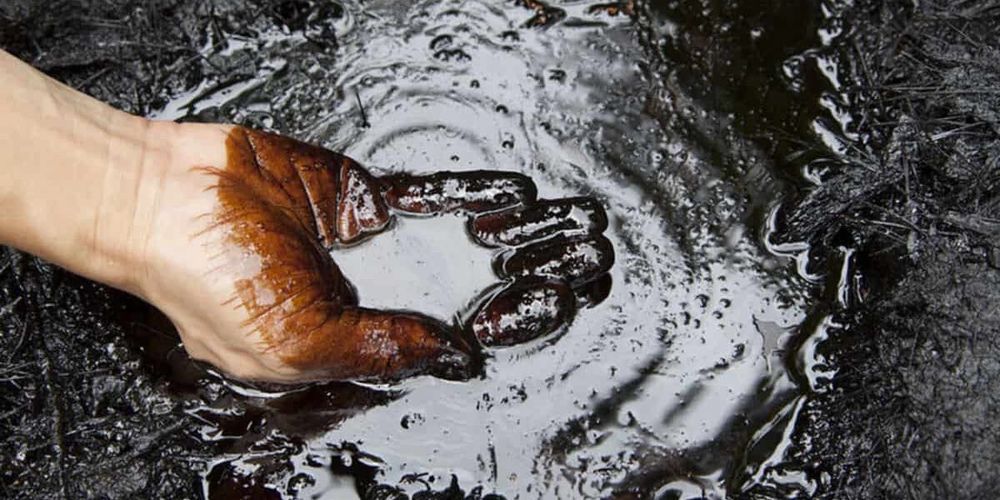Россия рассматривает импорт нефтепродуктов для стабилизации рынка изображение публикации