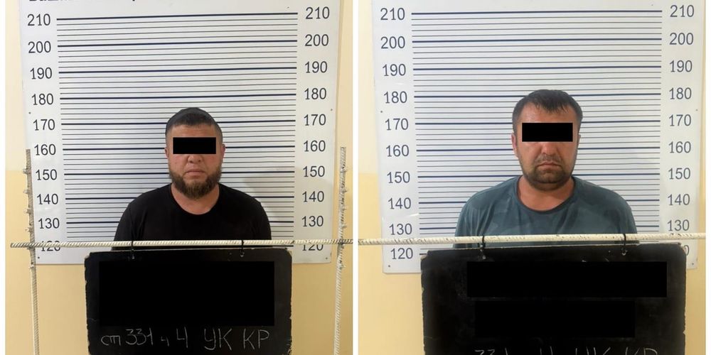 Попытка вывезти 229 животных: в Араванском районе накрыли схему контрабанды скота изображение публикации