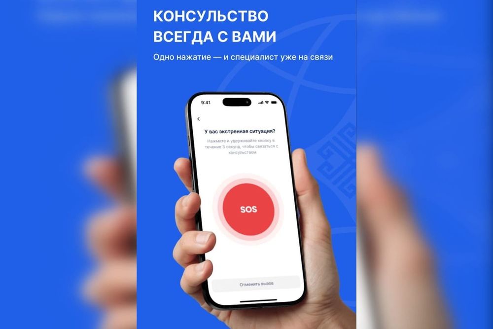 «Электронный консул» в телефоне: МИД запустил приложение с функцией SOS для граждан за рубежом изображение публикации